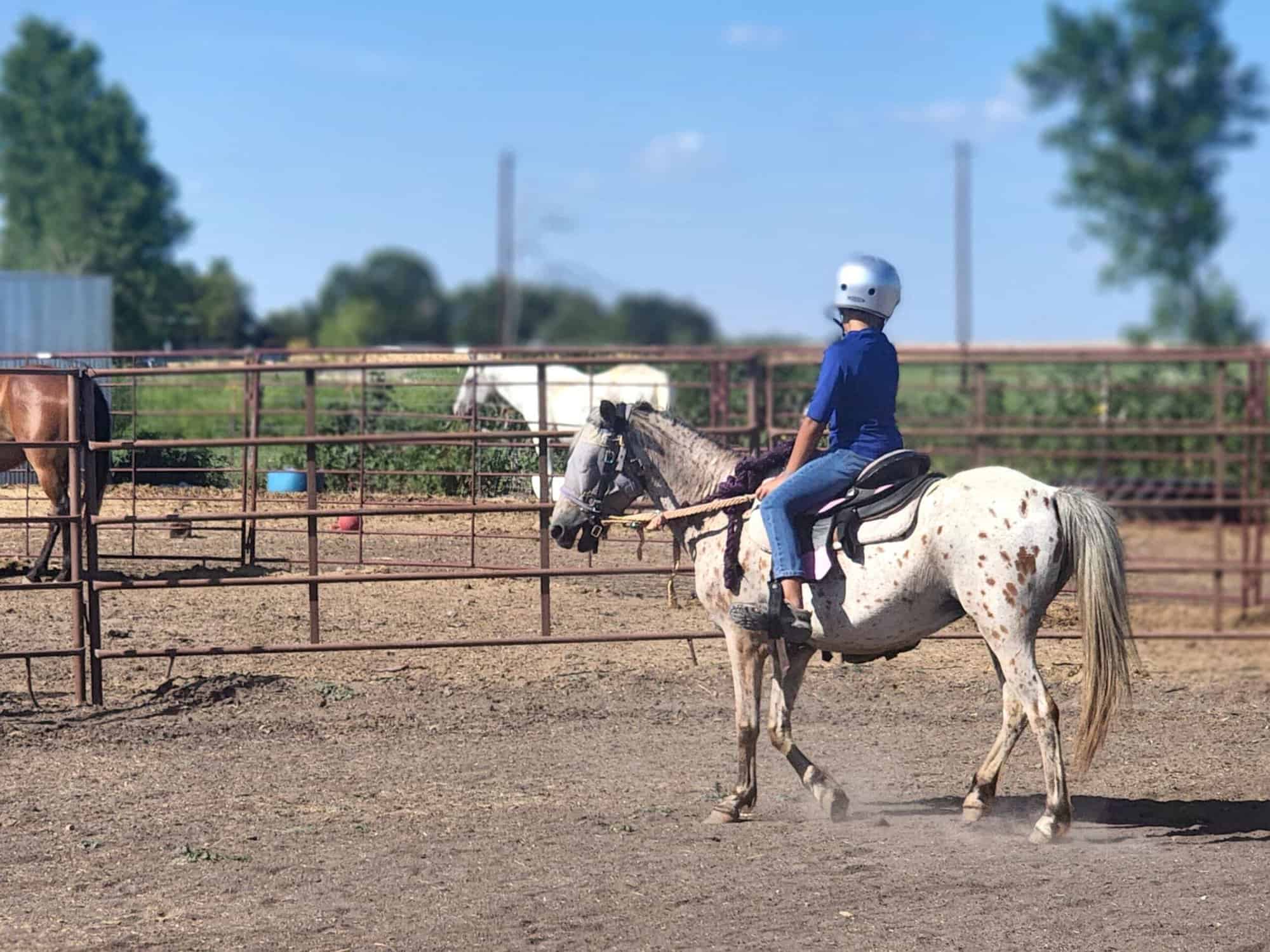 types of horseback riding lessons for kids