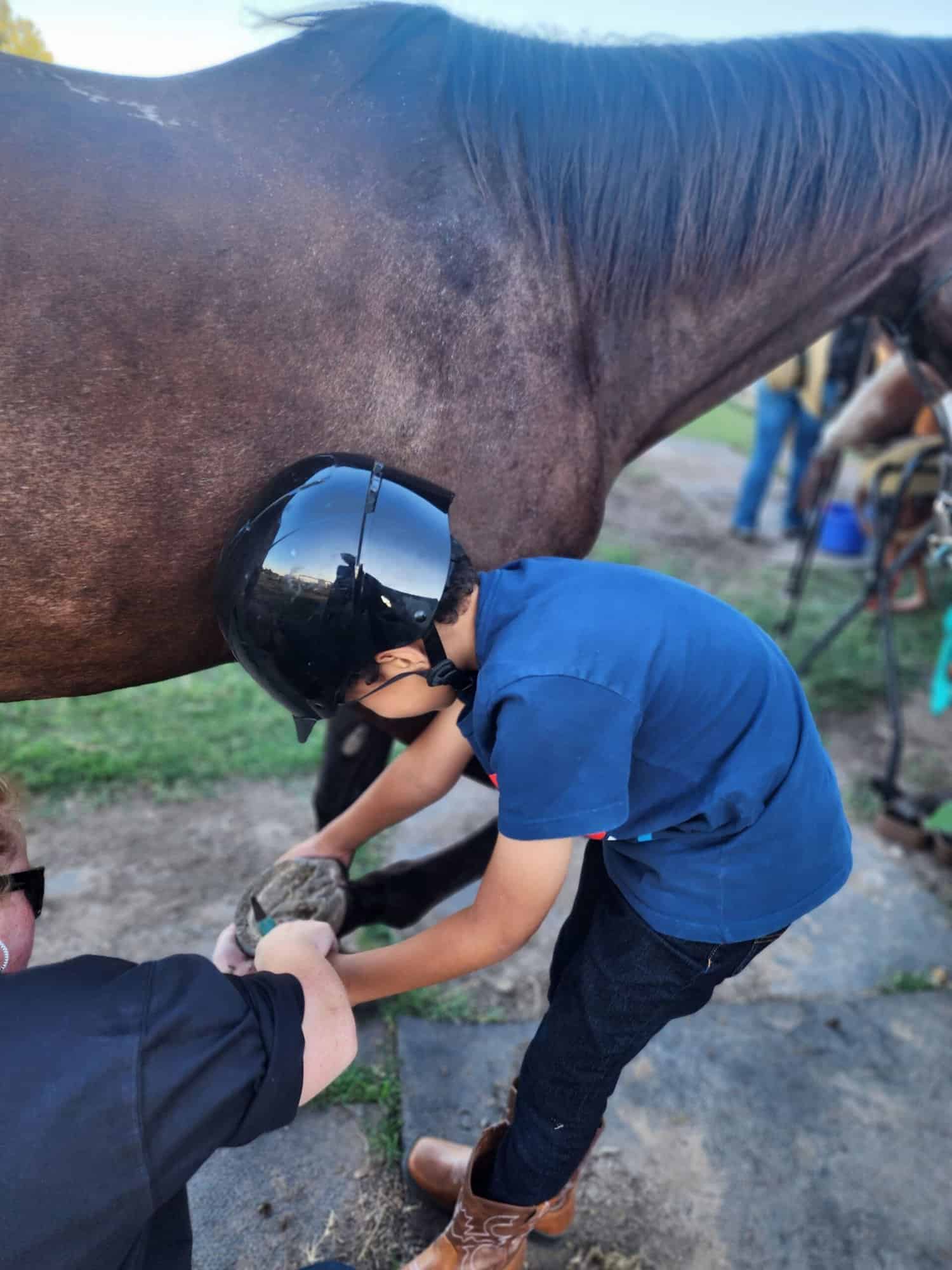 what you need to know about horseback riding lessons for kids