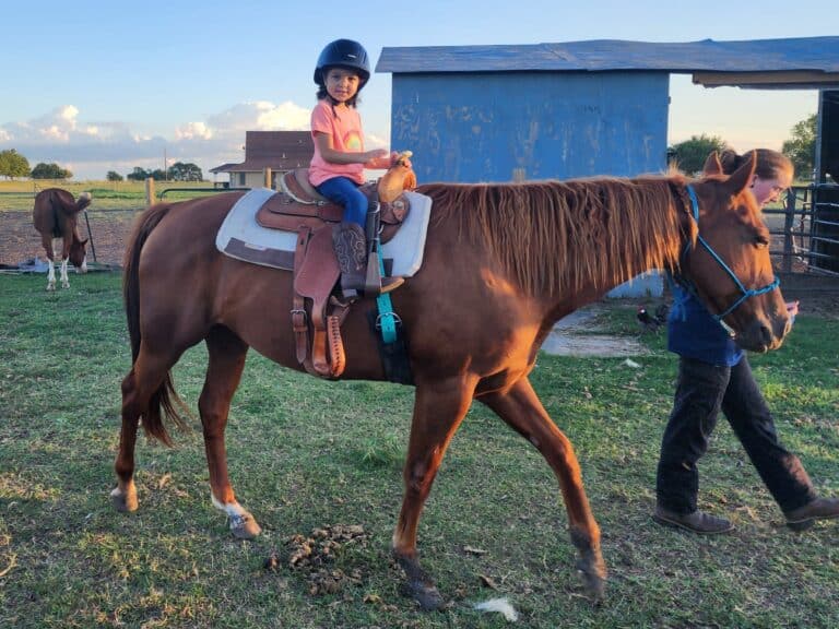 Children Take Riding Lesson Horseback Riding Lessons for Kids • RUN WILD MY CHILD