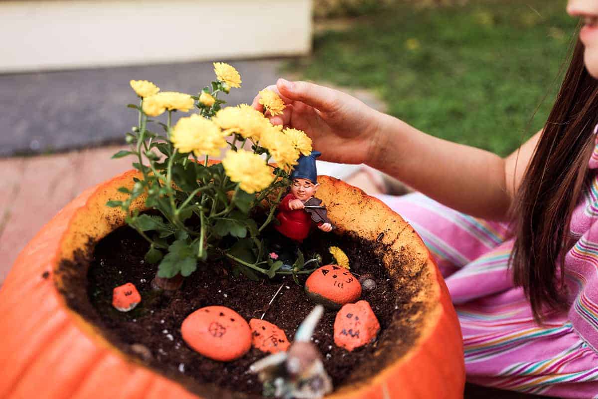 diy pumpkin fairy garden - outdoor fall activities for kids