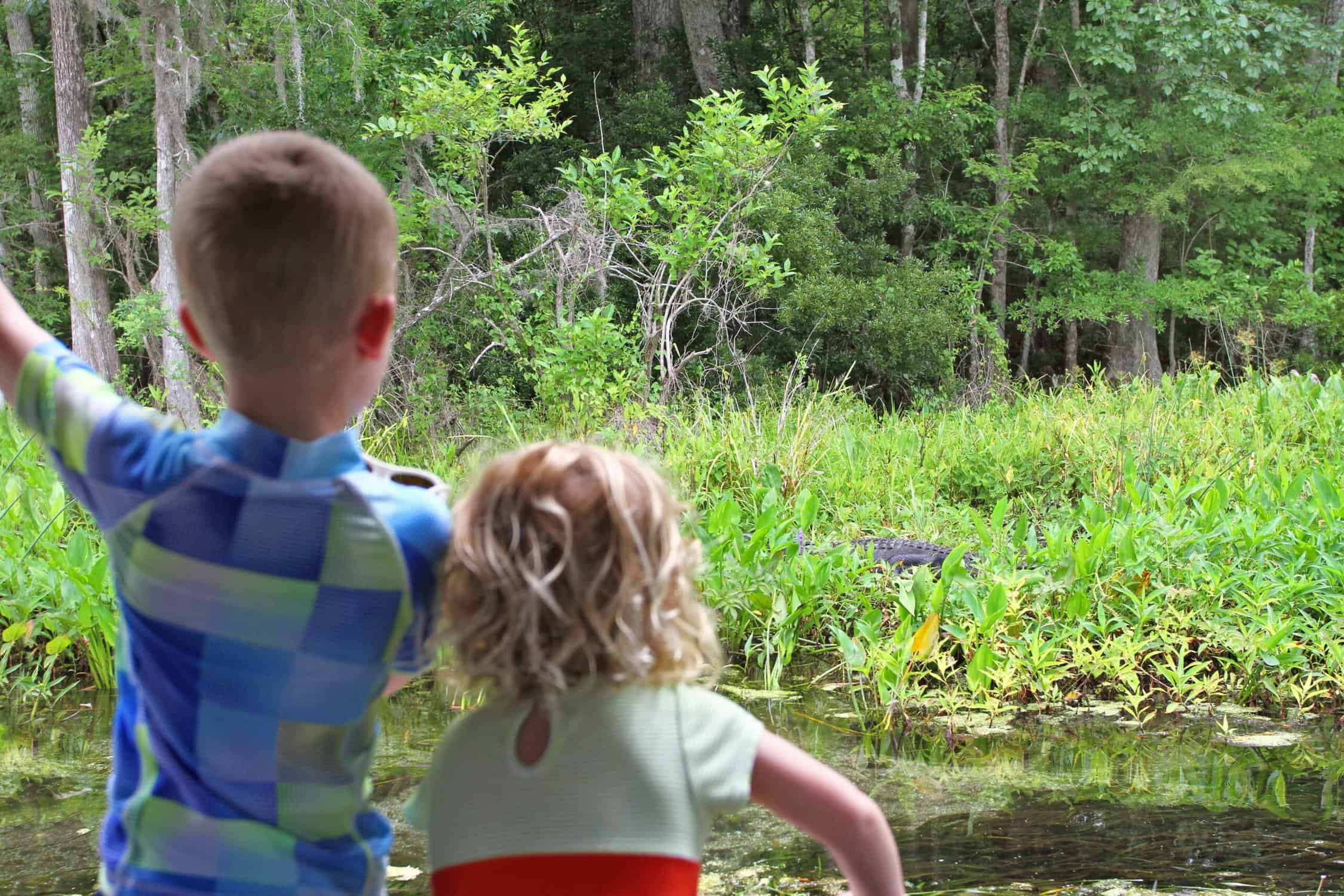 Wakulla Springs State Park - Florida - alligator tour with kids