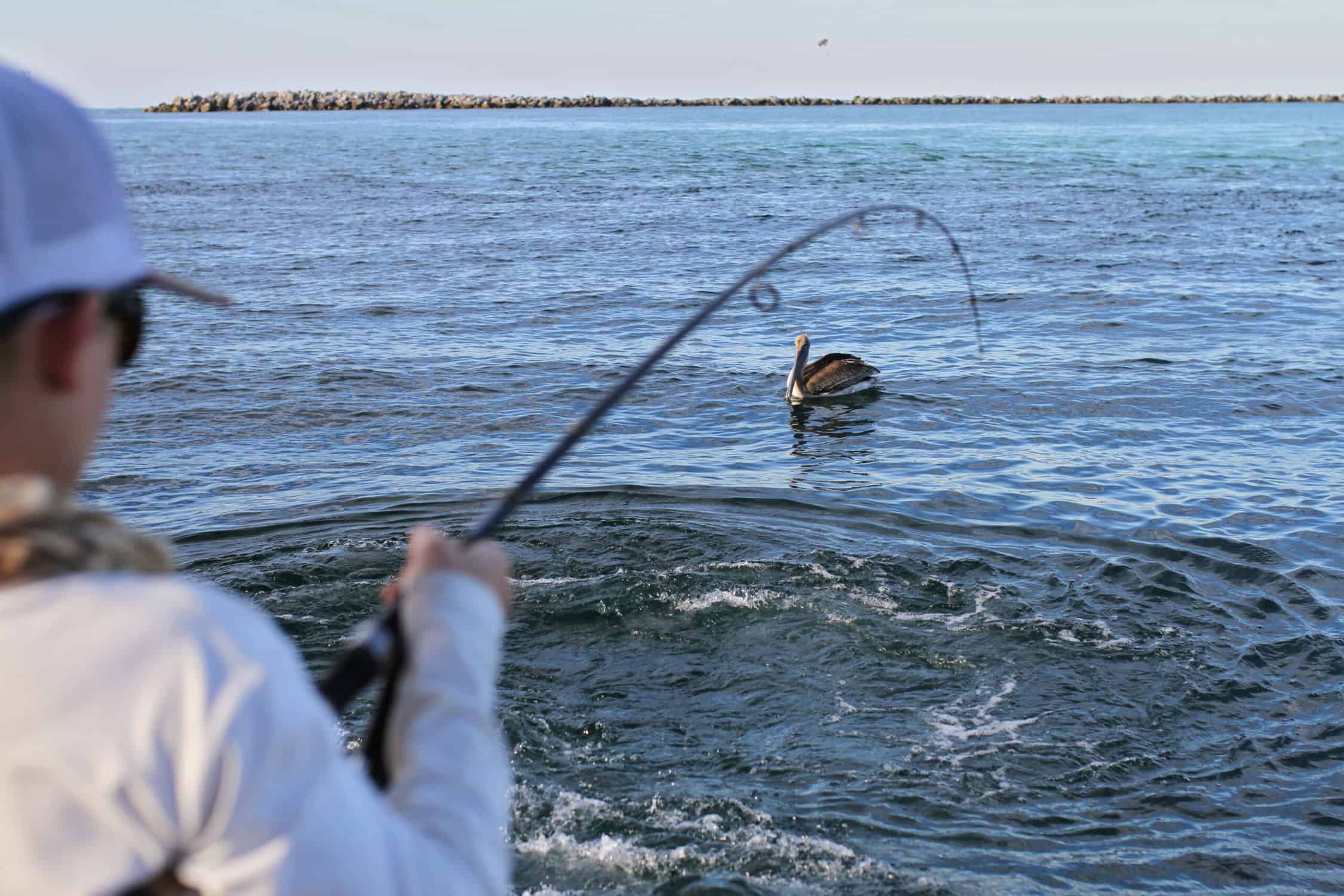 fishing for baitfish - destin florida