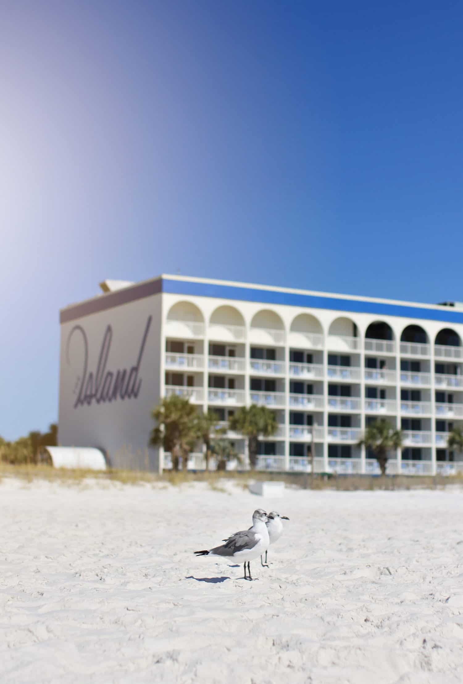 The Island Resort - Destin Fort Walton Beach - destin with kids