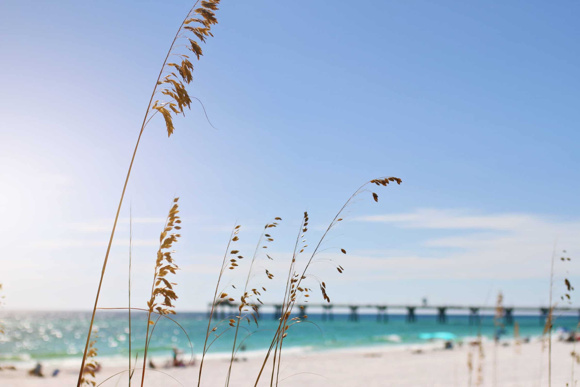 Best Things to do in Destin-Fort Walton Beach with kids