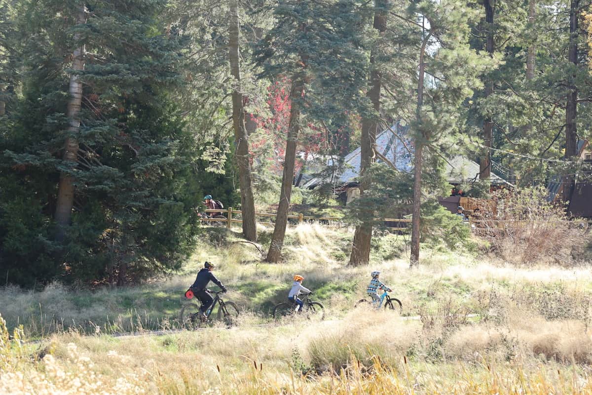 kids riding mountain bikes