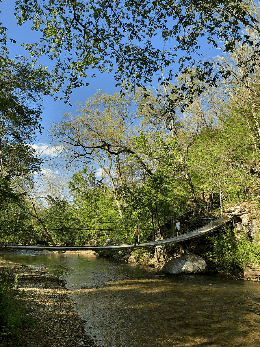 Tanyard Creek loop suspension bridge in northwest Arkansas by Nichole Holze