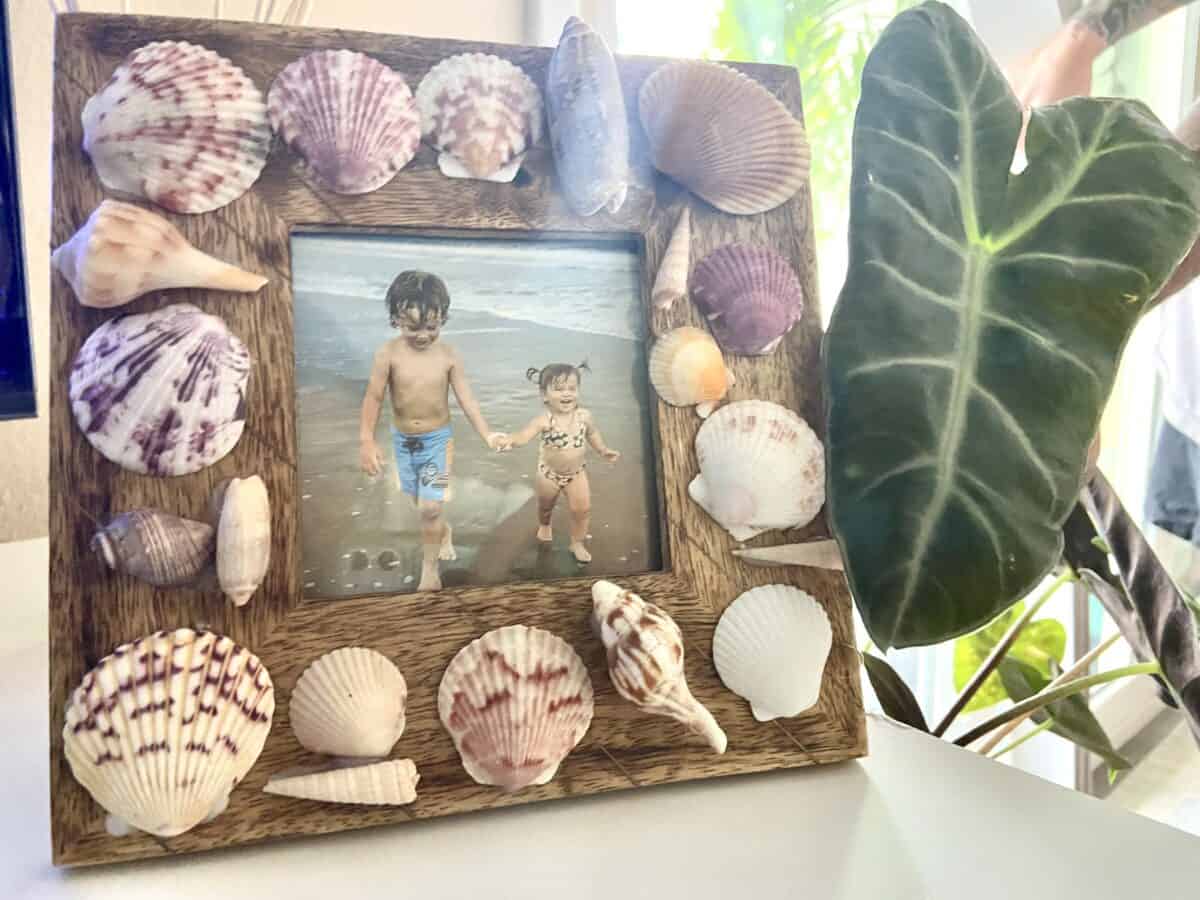 Seashell picture frames - seashell crafts for kids