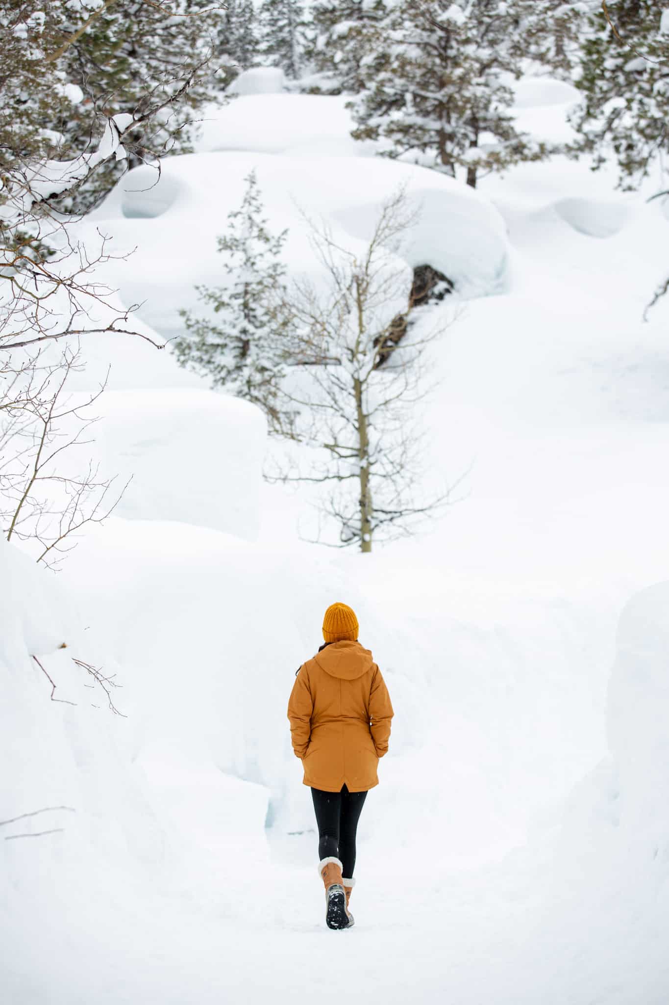 Cross Country Skiing with Kids – Idiom Studio