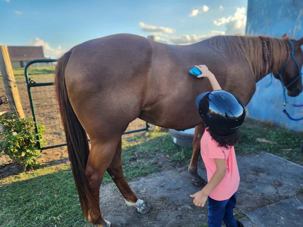 horseback riding for kids austin texas