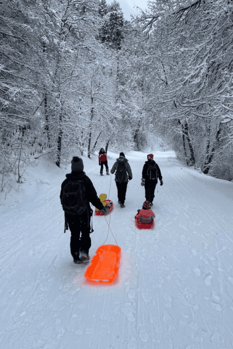 Families pulling kids on snow sleds along a winter forest scene. 