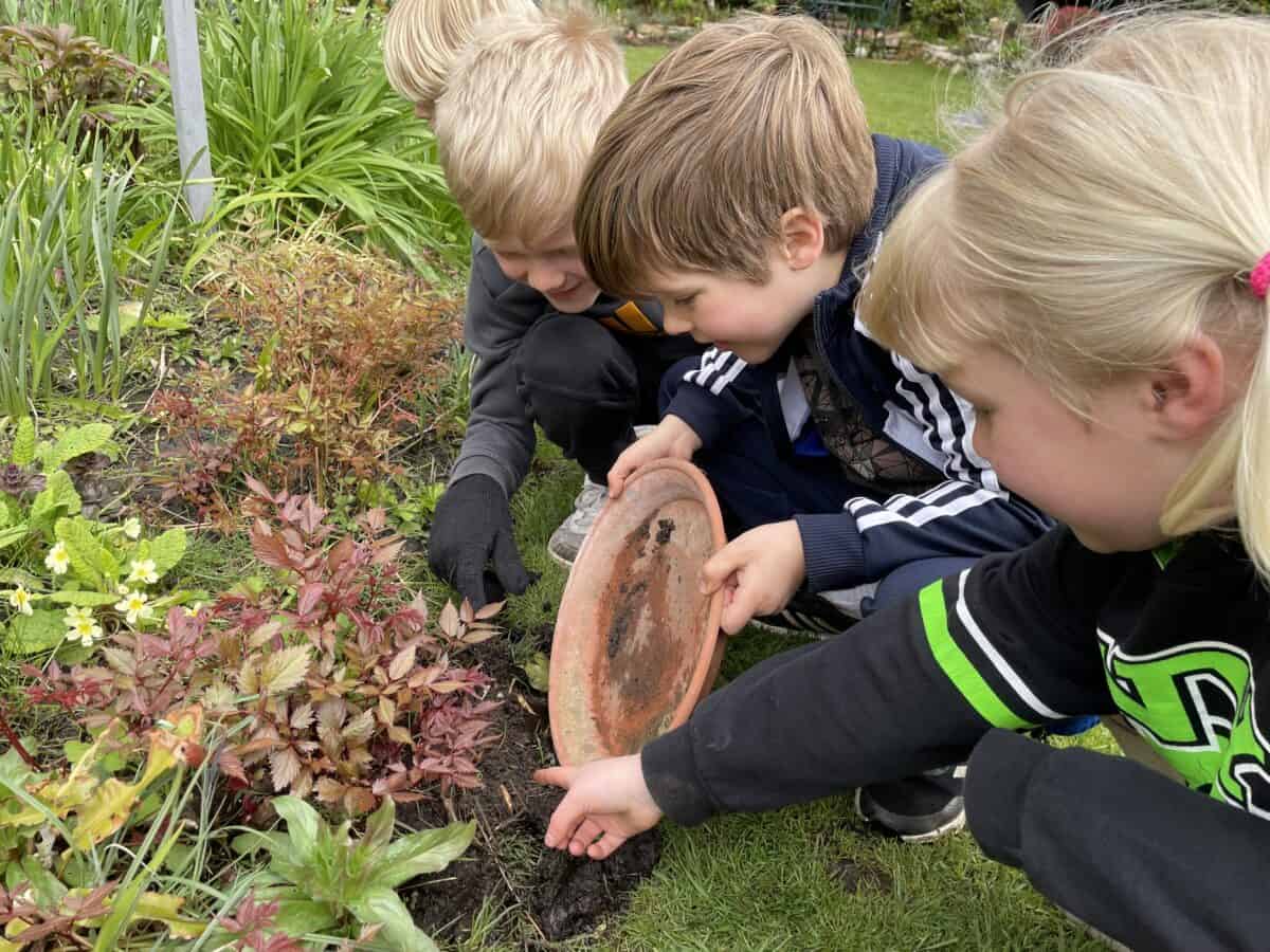 digging for worms with kids - measuring worms