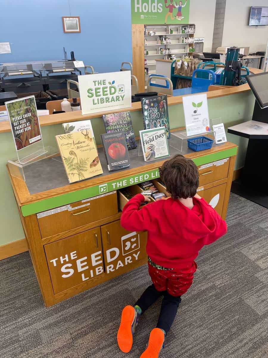 a child looking through a library display called the seed library