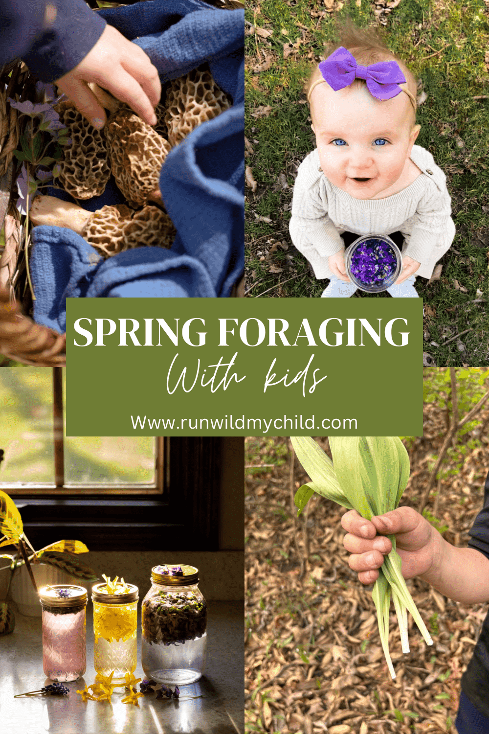 Spring foraging with kids 