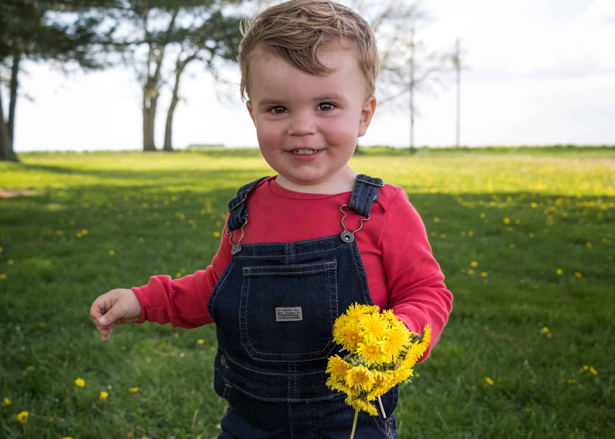 Boy holding dandelions