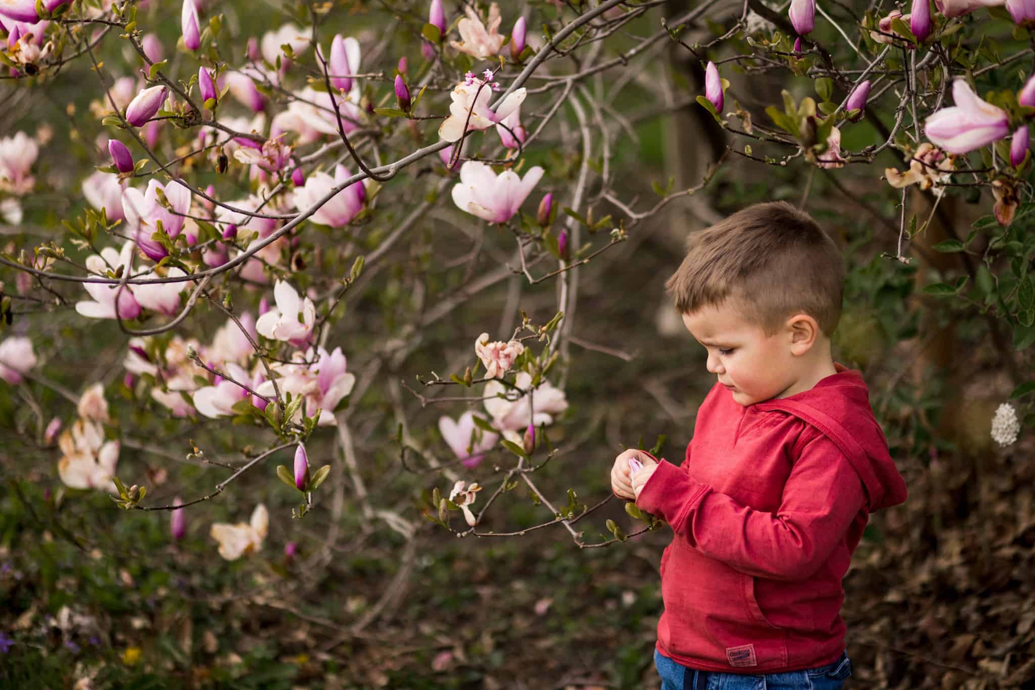 Boy with magnolia flower