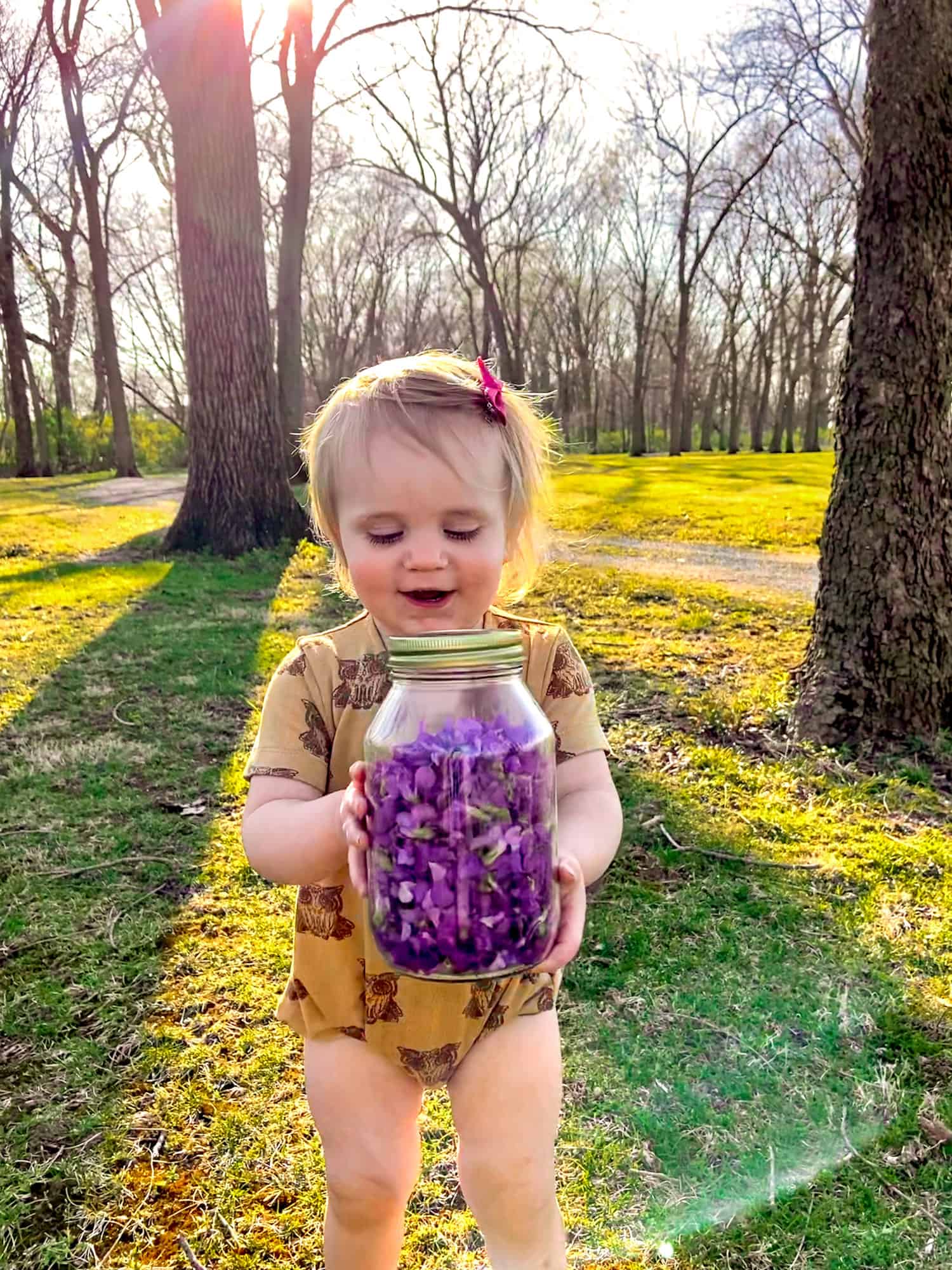 Little child holding mason jar of violets