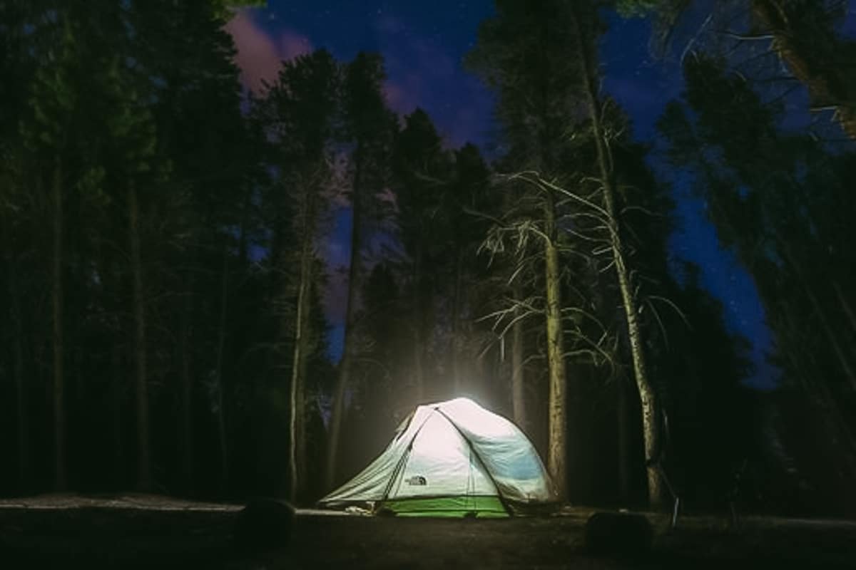 Tent glowing amongst some trees under a night sky.