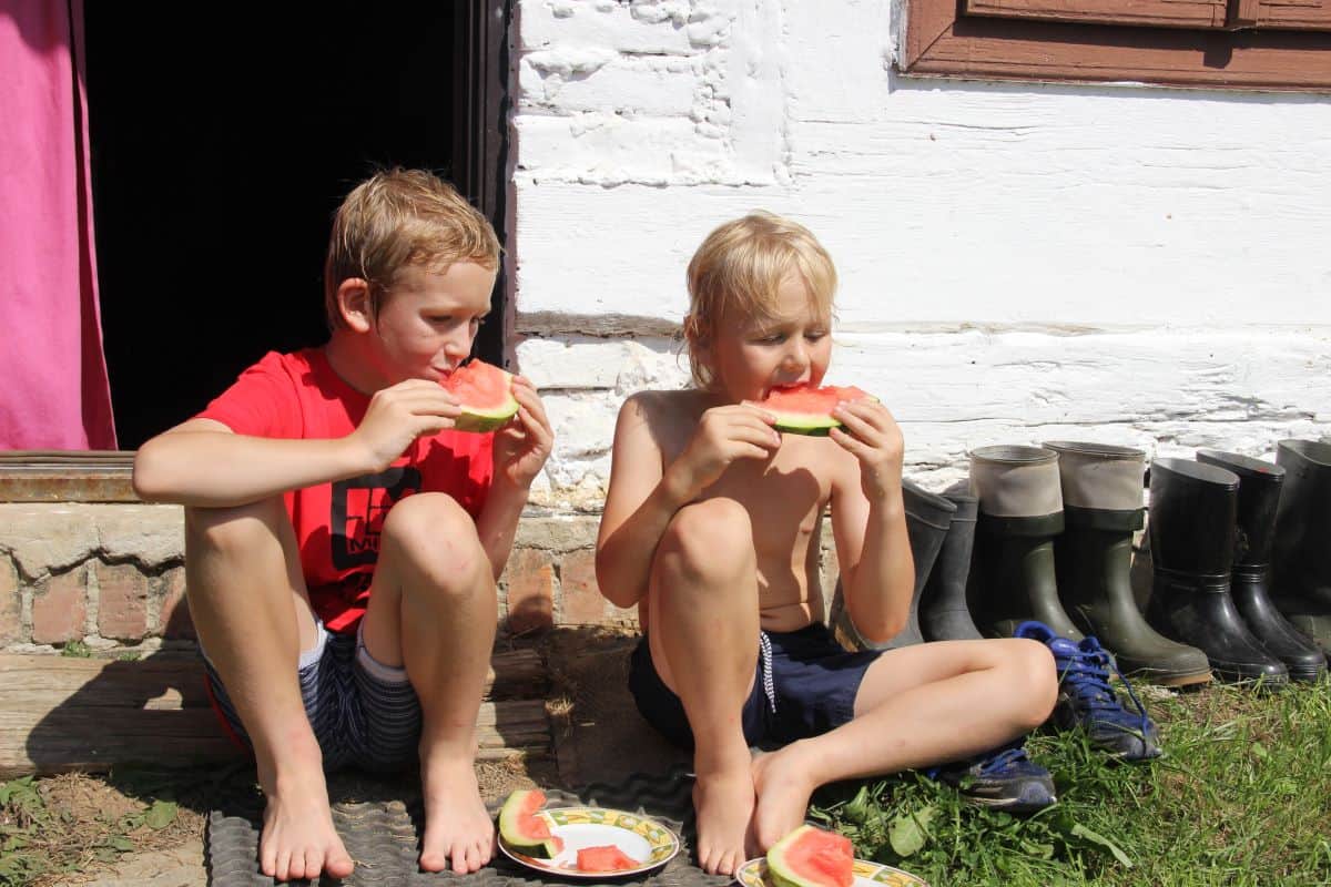 kids eating watermelon 