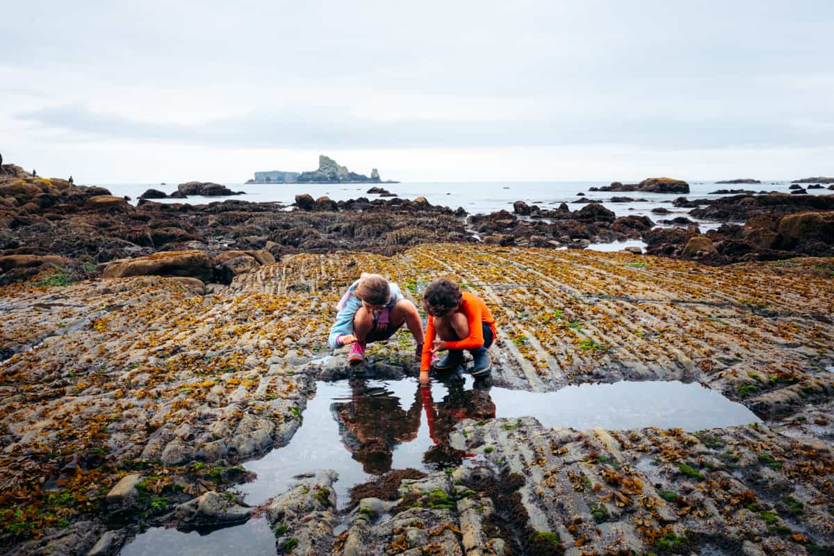 Backpacking the beaches of the Olympic Penninsula Tidepools