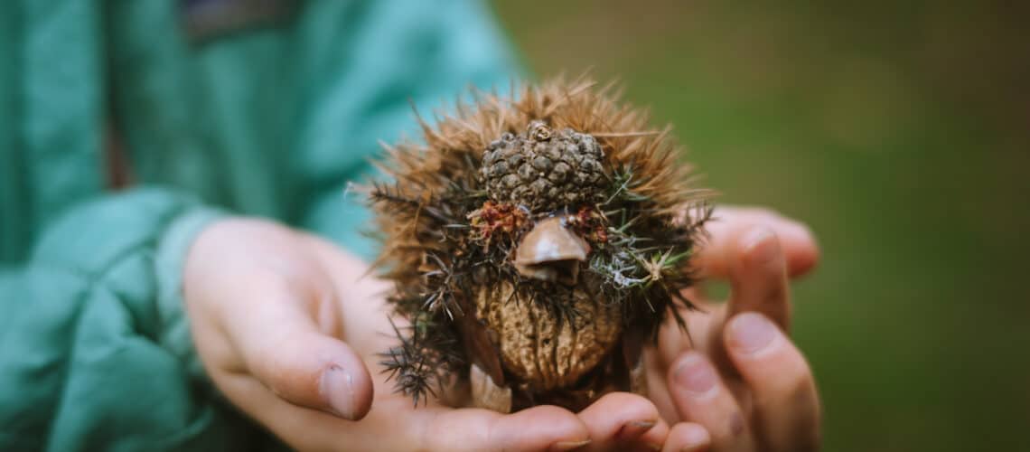 Crafting Nature Critters with Kids