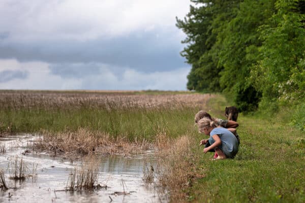 7 Simple Nature Activities for Kids That Inspire a Love for the Outdoors