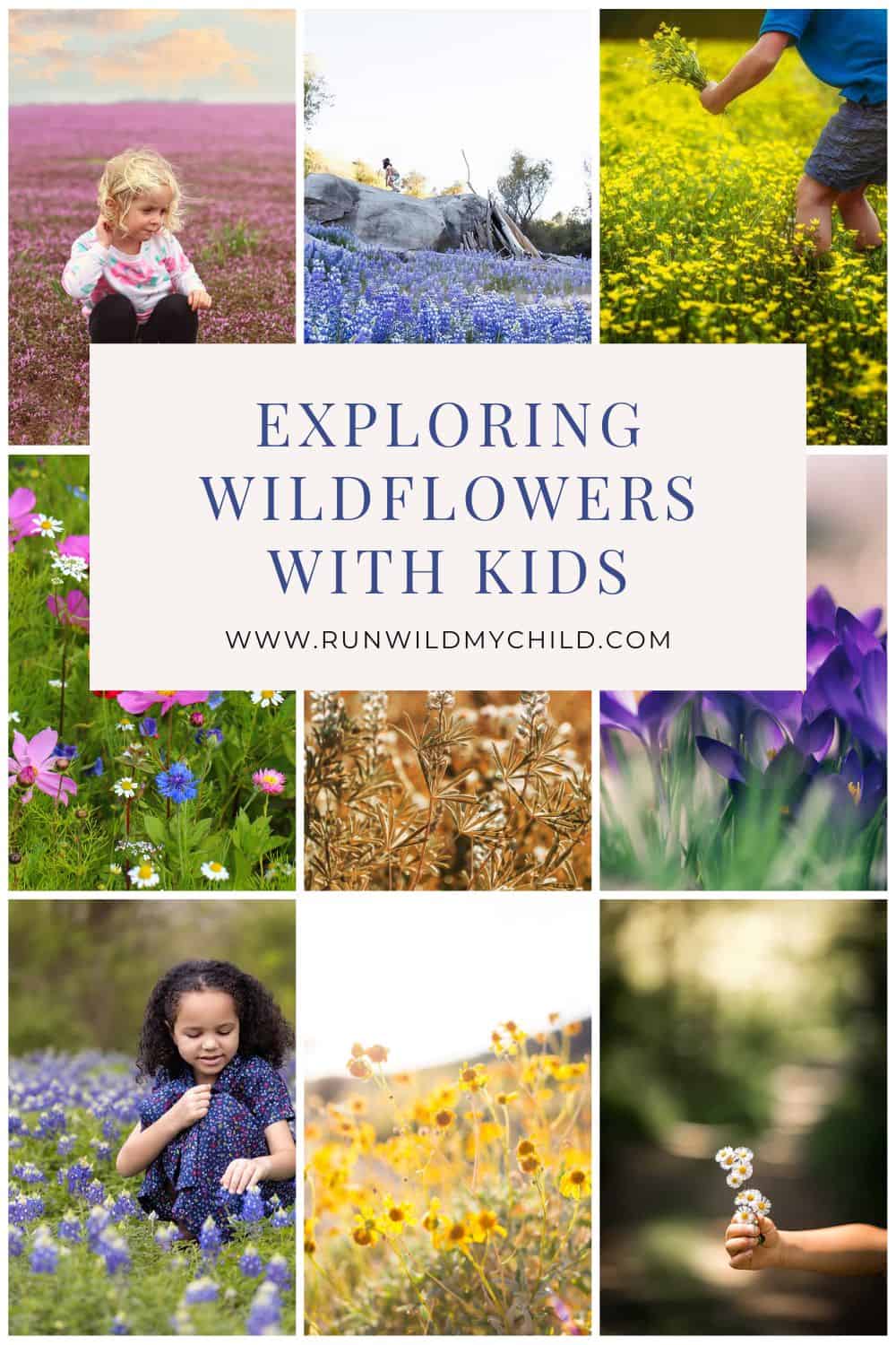 exploring wildflowers with kid - wildflower activities, books, lessons, plant identification, and more! 