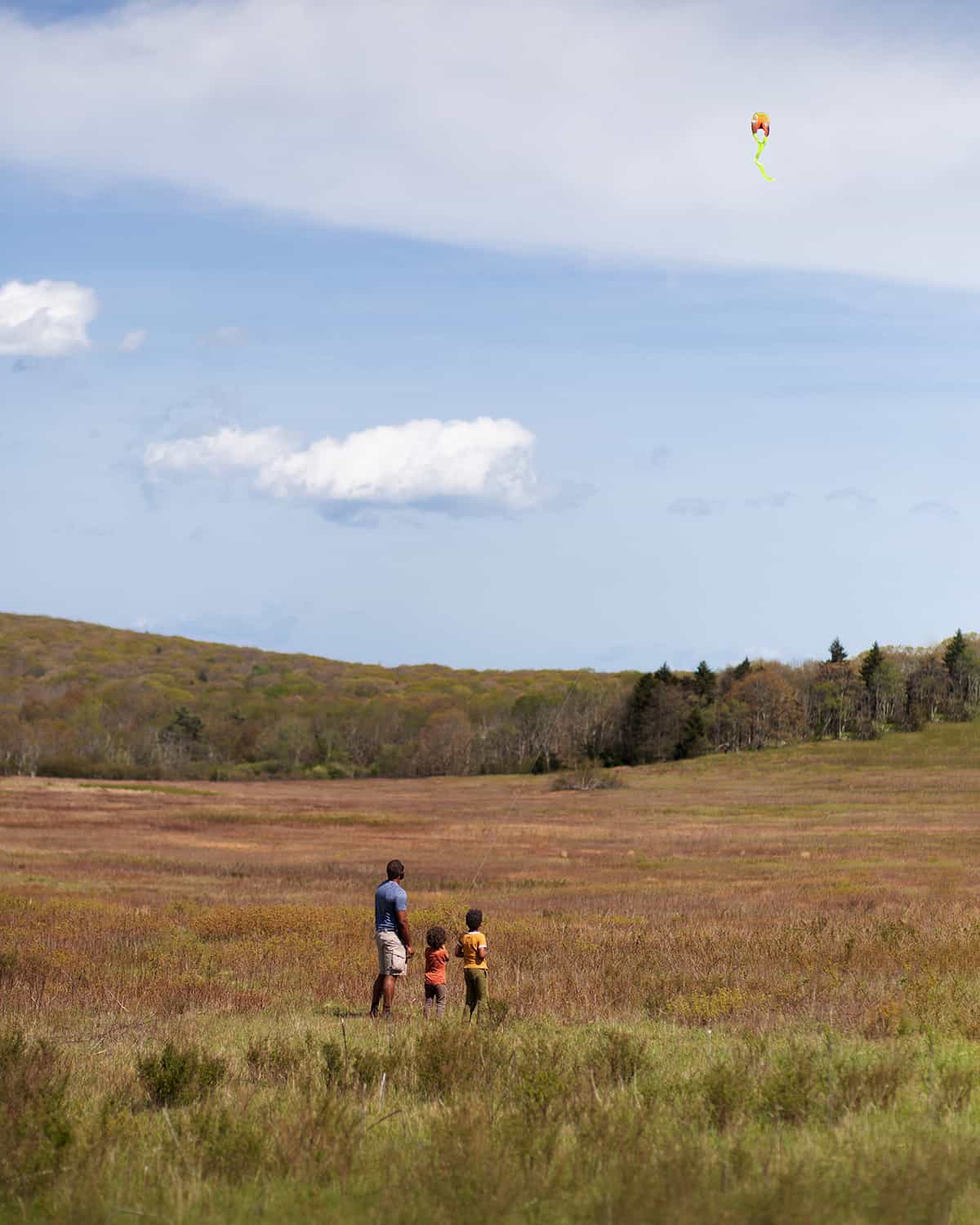 Flying a Kite with kids