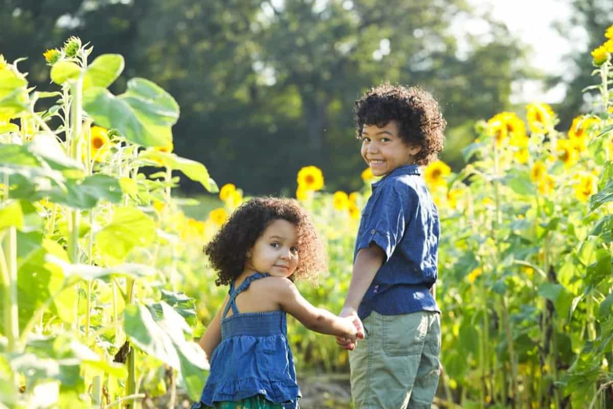 Two children holding hands glance back as they walk out of a sunflower field.