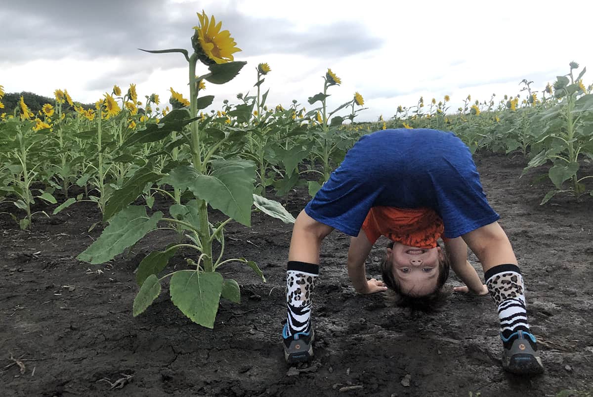 A muddy child poses in a sunflower field.