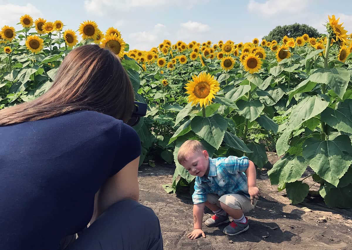 A woman crouches down to take a photo of a child playing in the dirt in a sunflower field.