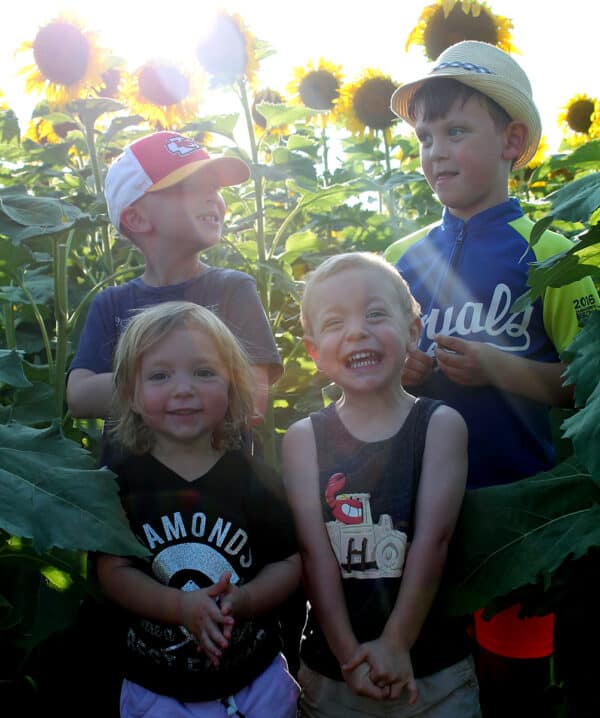 How to Take Photos at a Sunflower Field with Your Family • RUN WILD MY