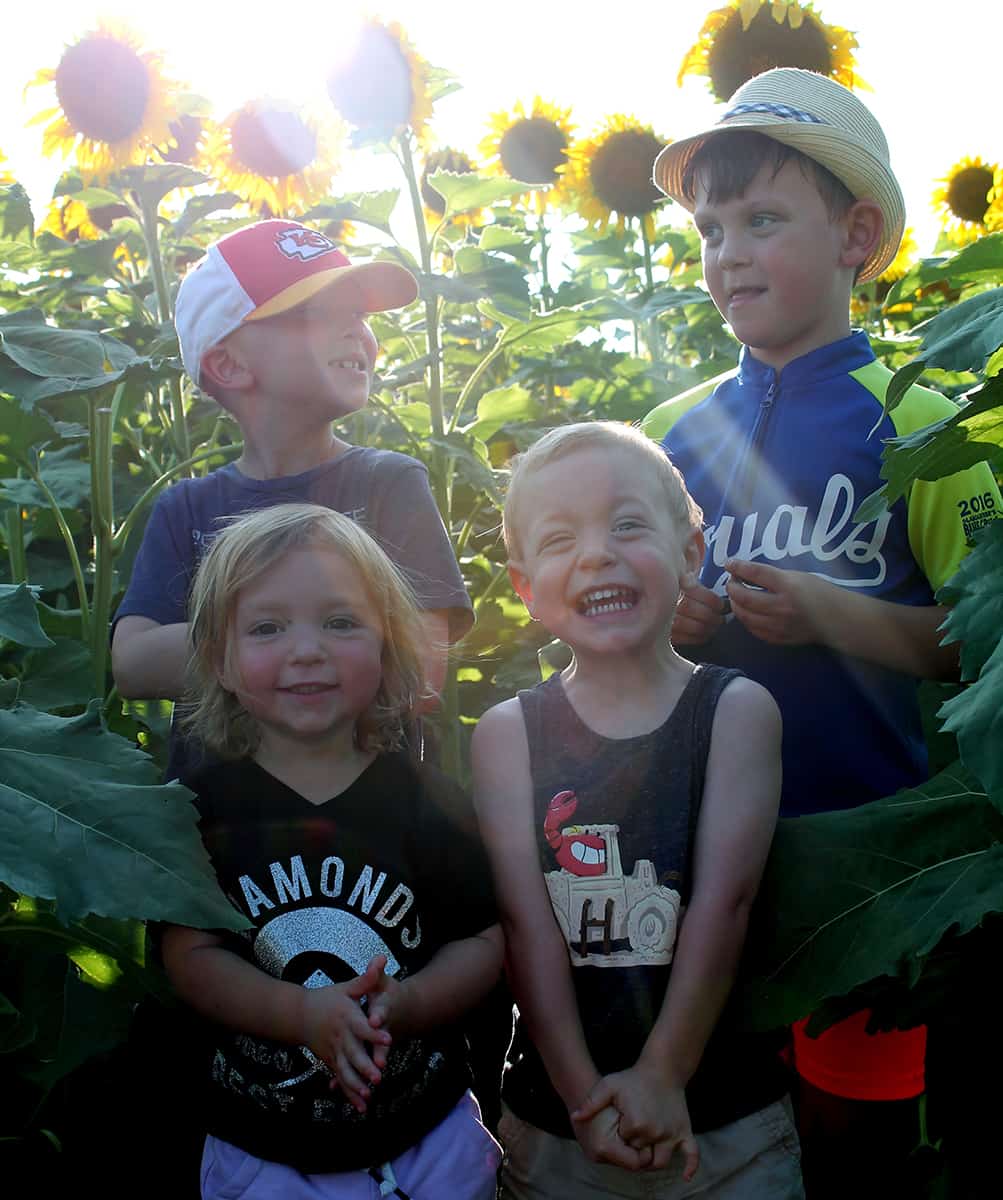 Four children pose for a family photo in a sunflower field.
