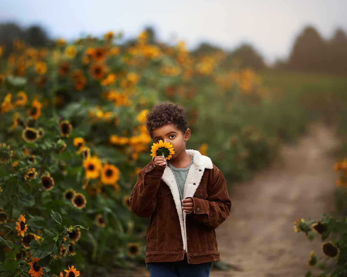 A child stands on a dirt path surrounded by sunflowers. 