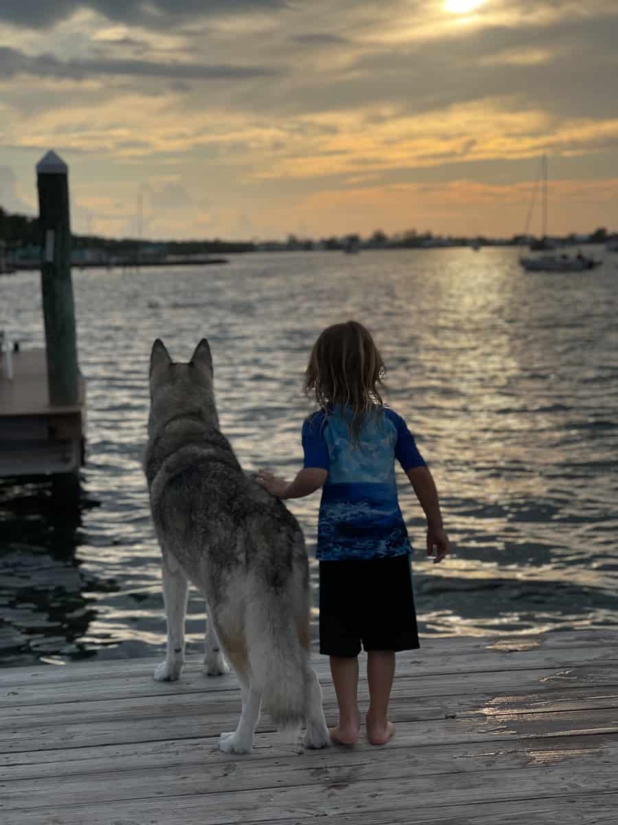 A kid and dog look at the sunset in Florida Keys. 