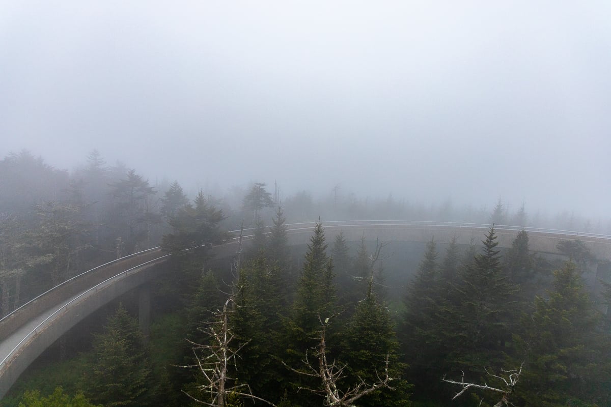 Clingman's Dome fog