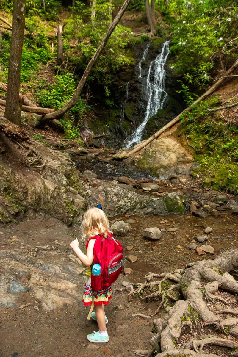 Exploring Great Smoky Mountains with kids Cataract Falls