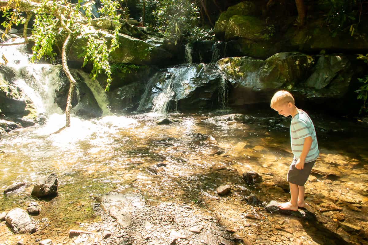 Exploring Great Smoky Mountains with kids
