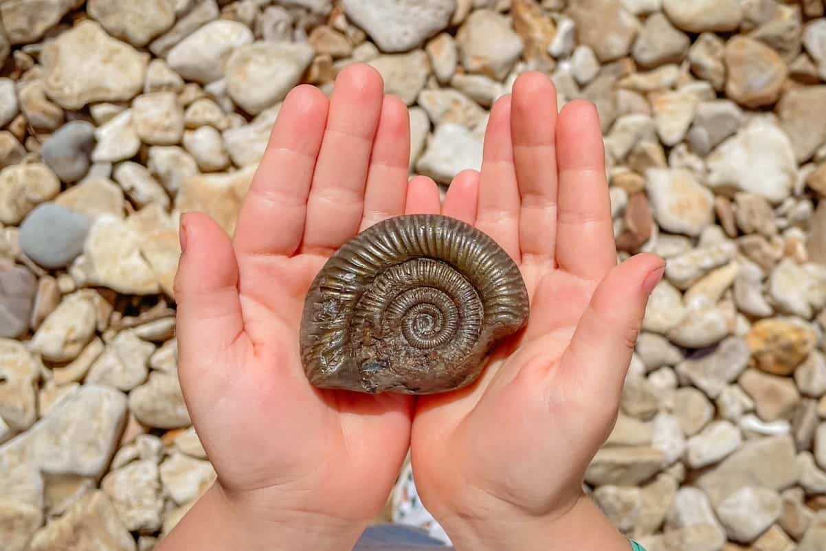Fossil hunting on Charmouth Beach UK - best beaches for kids and families in Southern UK