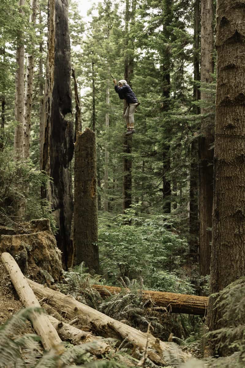 Rope swing fun in the redwood trees in Redwood Park California