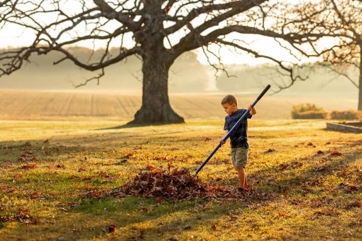 how volunteering and doing yard work for others can help build confidence in kids