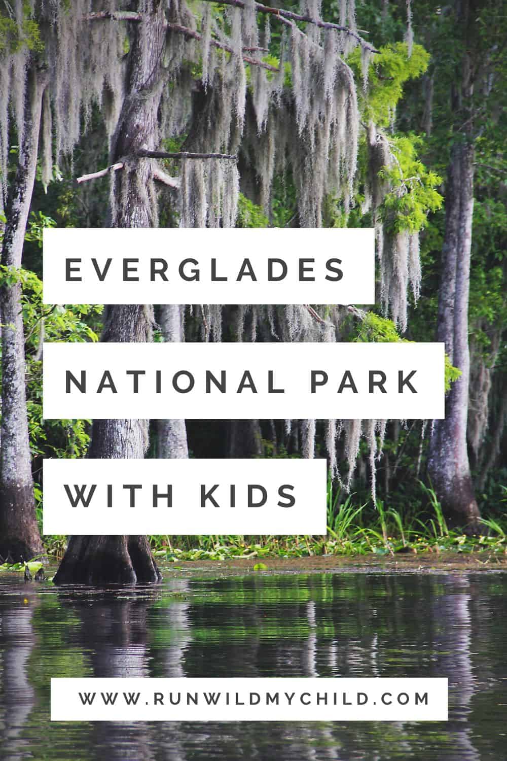 exploring everglades national park with kid - when to go, where to start, what to do, trails to hike and more