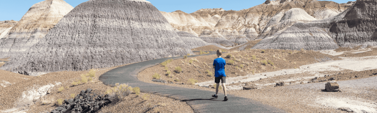 Petrified Forest National Park with Kids