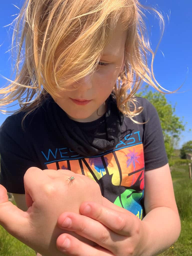 Showing a little bug that landed on his hand