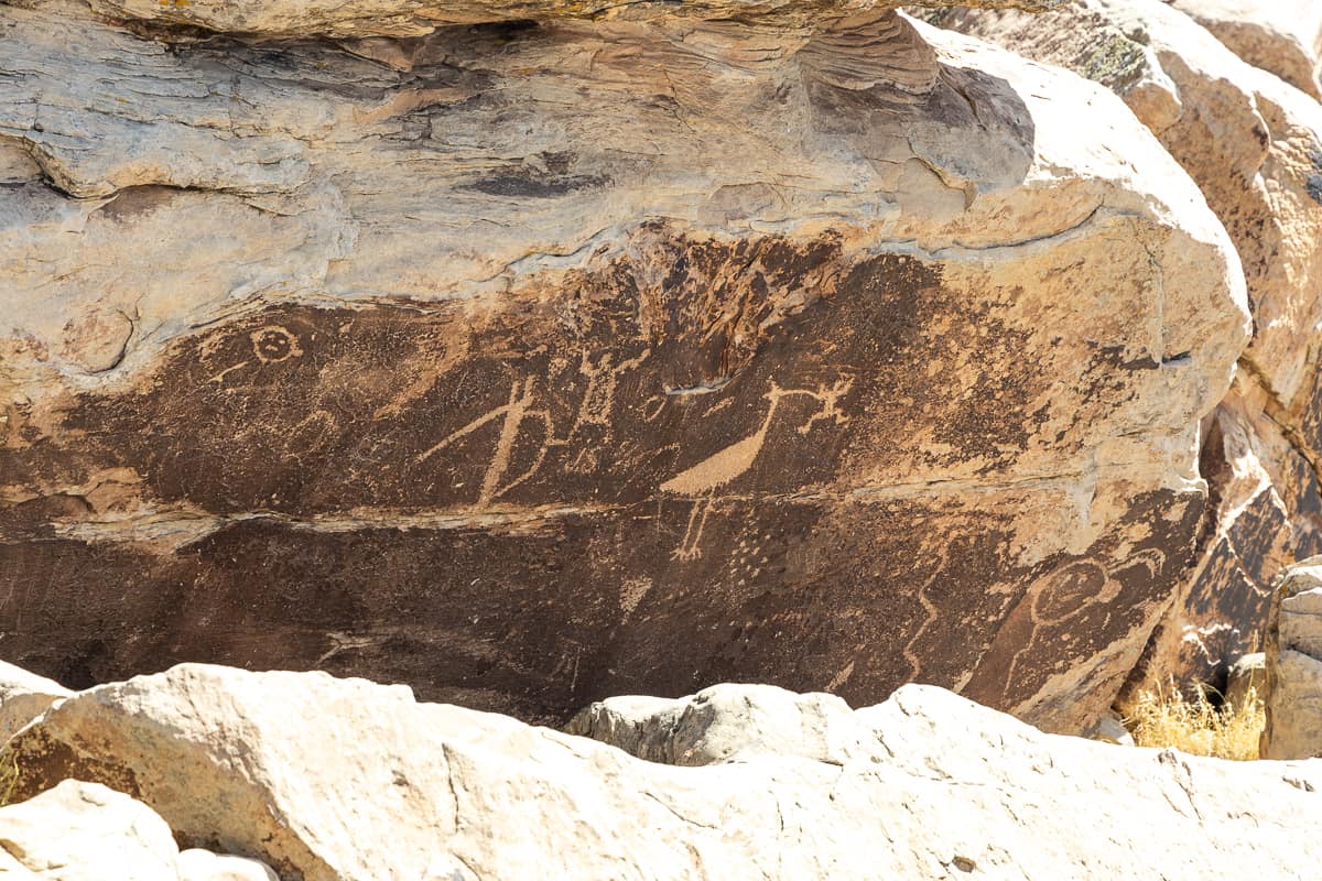 Petrified Forest petroglyphs