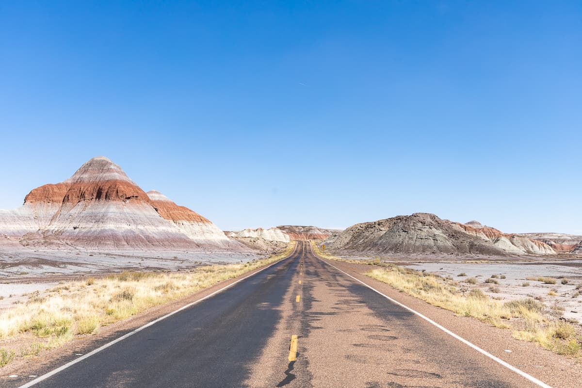 Petrified Forest National park scenic drive