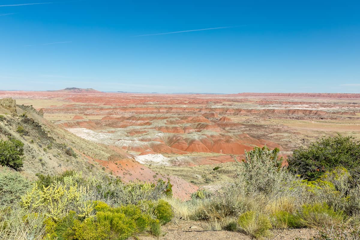 petrified forest national park painted desert