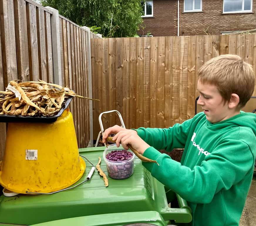 selling beans in back garden