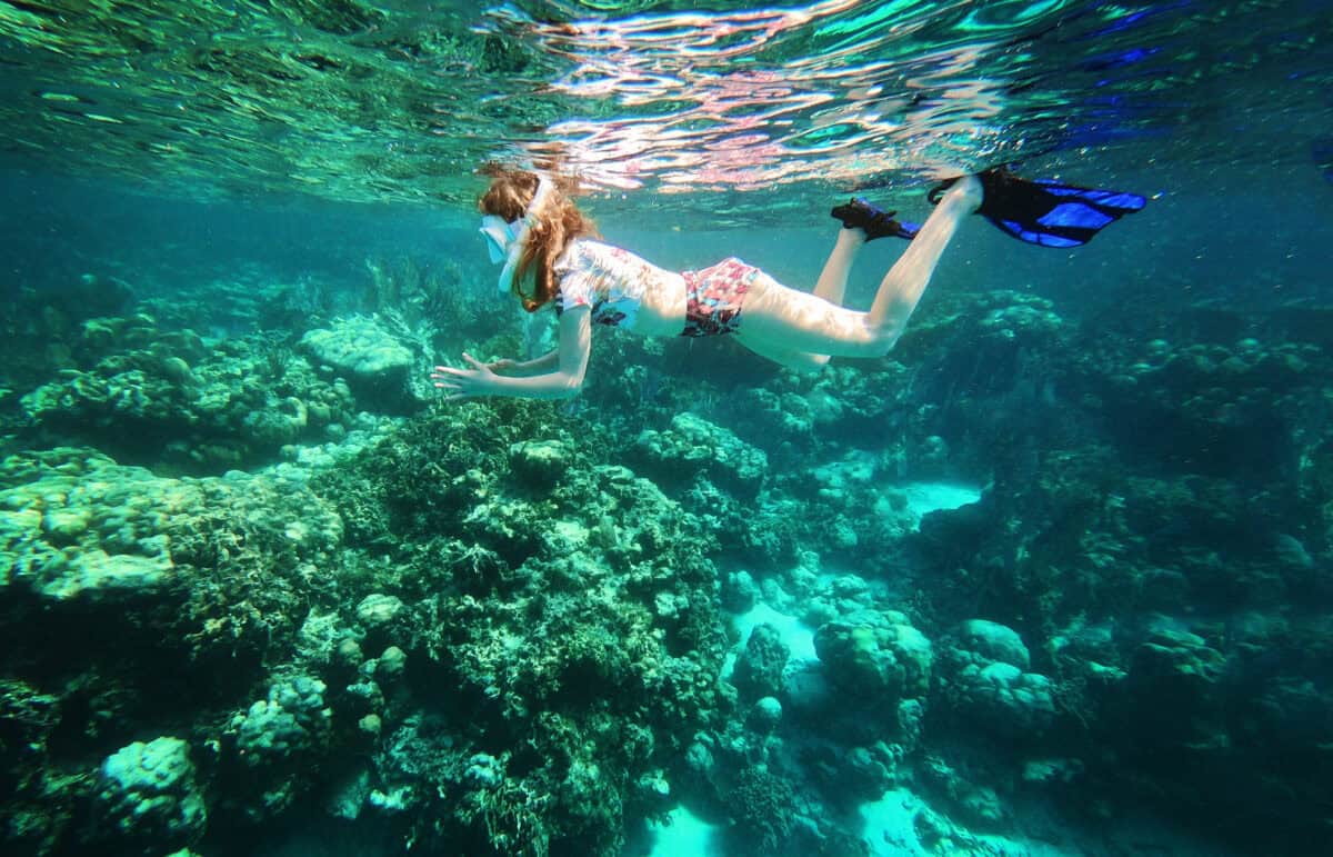 child snorkeling underwater coral reef belize