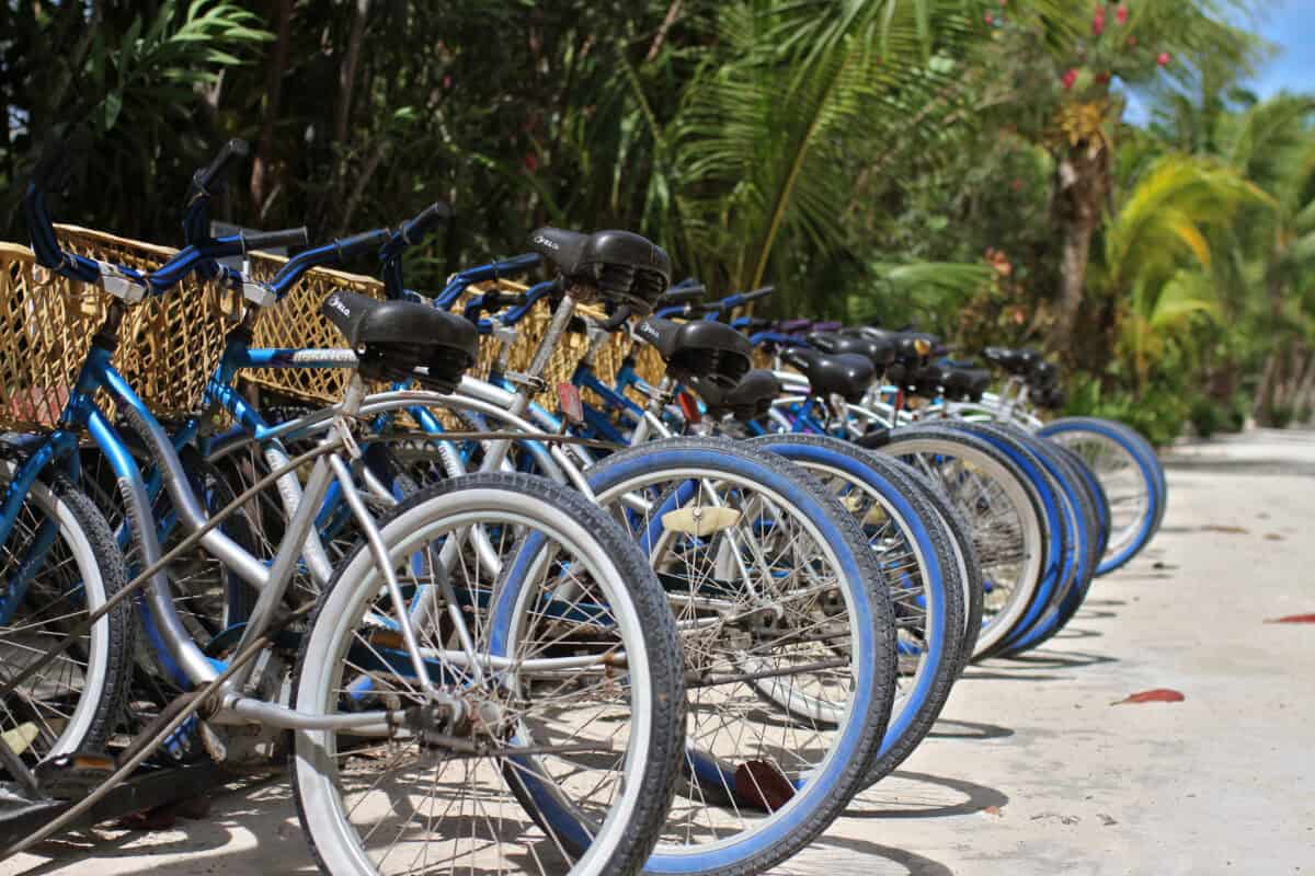 rental bicycles lined up at Coco Beach Resort in Belize