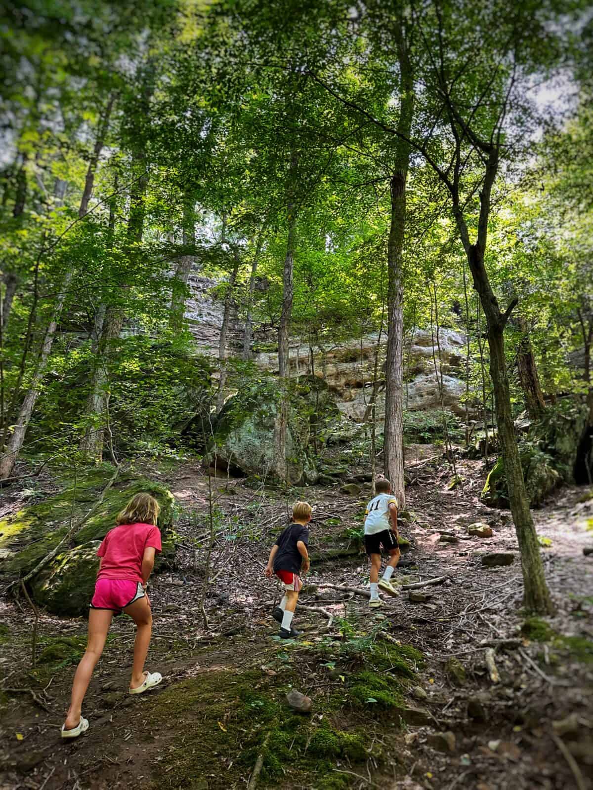 Ferne Clyff State Park - Big Rocky Hollow Trail